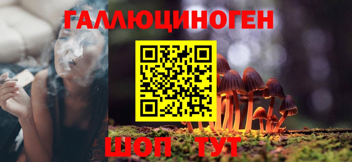 Галлюциногенные грибы Psilocybe Крымск